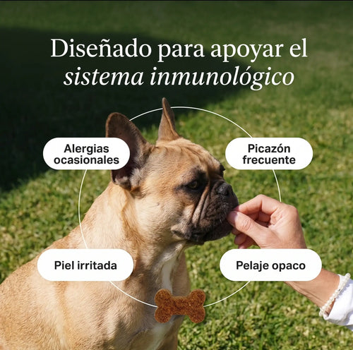 Ruffsy™ | Apoyo para la picazón desde adentro